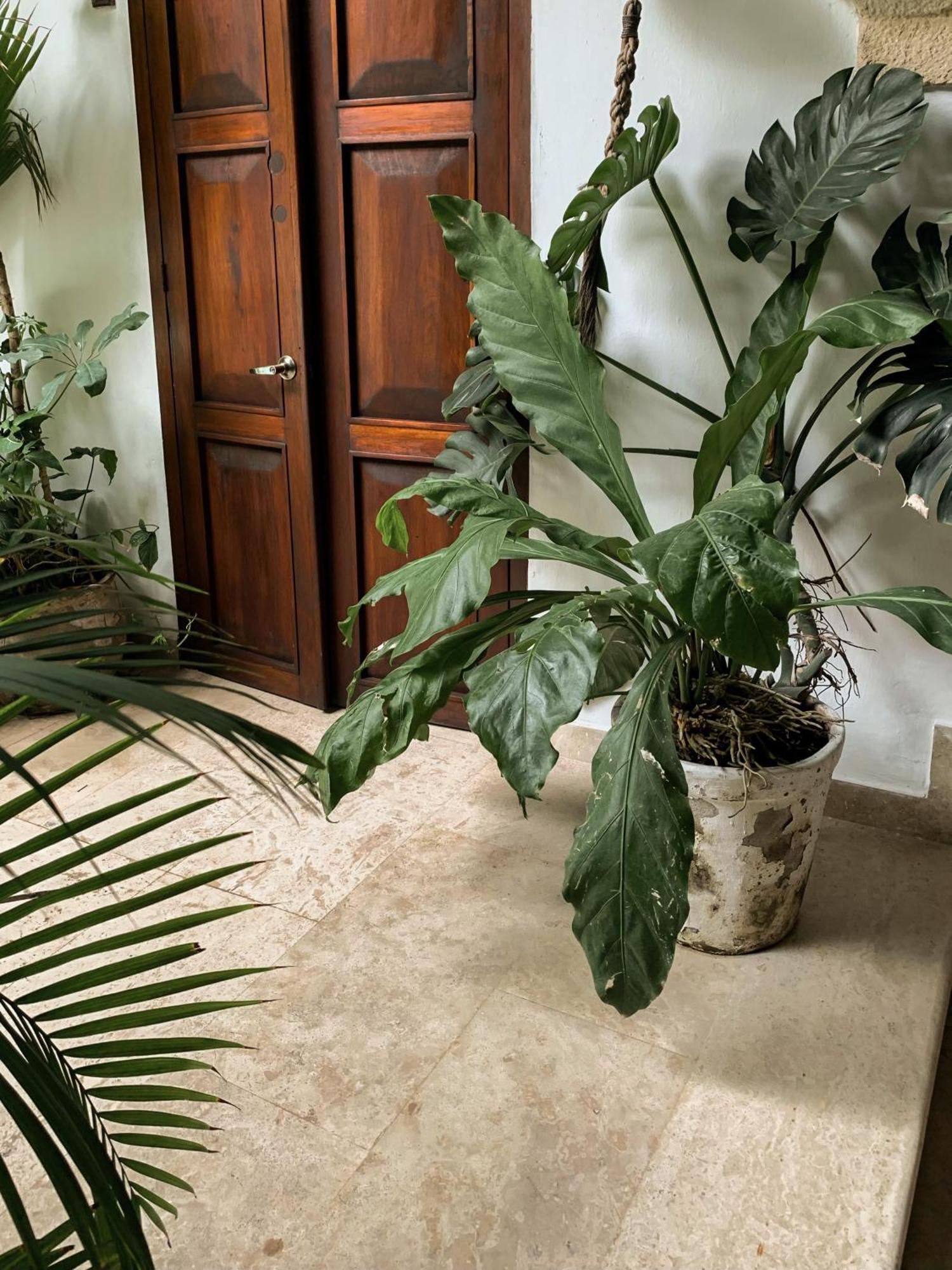 Hotel Boutique Casa Del Arzobispado Cartagena Kültér fotó